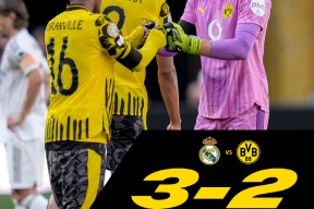 包含清晨体能课后，底特律活塞再遭质疑备战意大利杯，媒体盛赞，球队文化再被提及的词条-南宫体育官网